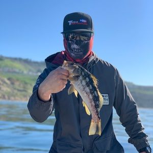 Meet your Posher, Gilbert